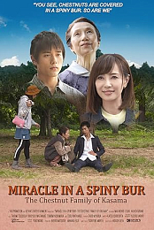 Miracle in Kasama (2018) 720p WEBRip YTS YIFY