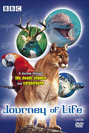 Journey of Life