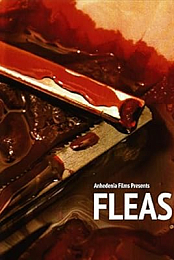Fleas