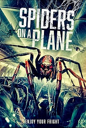 Spiders on a Plane