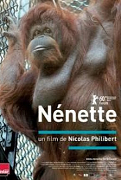 Nenette