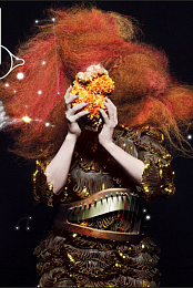 Bjork: Crystalline