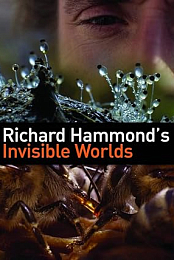 Richard Hammond's Invisible Worlds