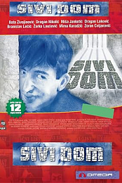 Sivi Dom