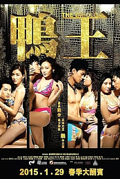 The Gigolo
