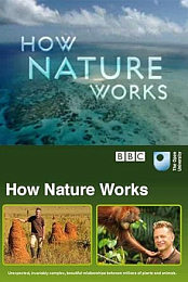 How Nature Works: Jungle