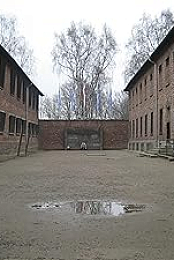 Made.In.Auschwitz.2019.WEBRip.x264-ION10