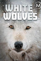 White Wolves: Ghosts of the Arctic