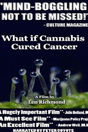 What If Cannabis Cured Cancer