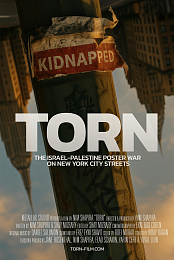 Torn (2024) 720p WEBRip x264 2.0 YTS YIFY