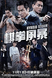 Hybrid Storm