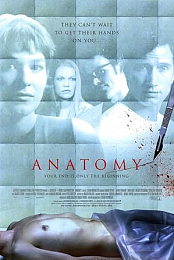 Anatomy