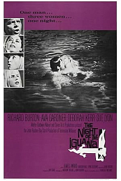 la nuit de l'iguana