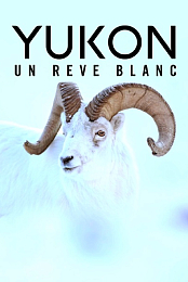 Yukon - Un reve blanc