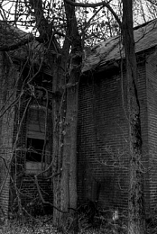 Dark White House