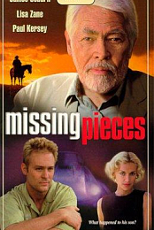 Missing Pieces