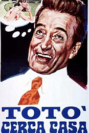 Toto cerca casa
