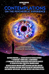 Contemplations: On the Psychedelic Experience