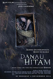 Danau Hitam