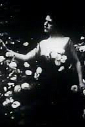 La signora delle camelie