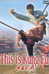 This Is Kung Fu