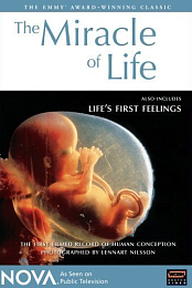 The Miracle of Life