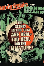 Mondo Bizarro