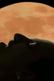 U2: Mysterious Ways