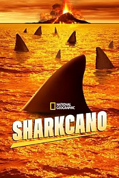 Sharkcano.2020.720p.WEB.h264-CAFFEiNE