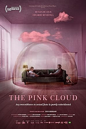 The Pink Cloud