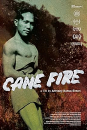 Cane Fire