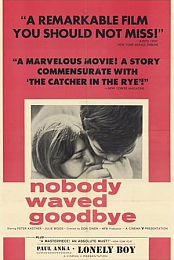 Nobody Waved Good-bye