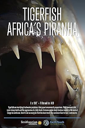 Tigerfish