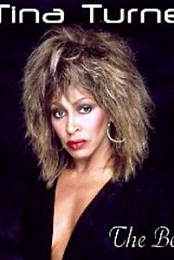 Tina Turner: The Best