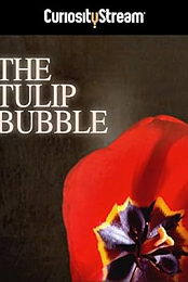 The Tulip Bubble