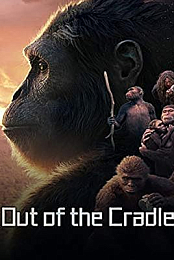 Out of the Cradle