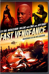 Fast Vengeance