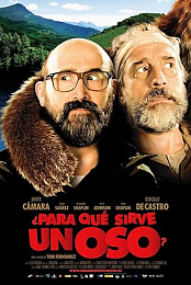 ¿Para que sirve un oso?