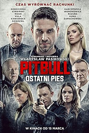 Pitbull. Ostanti pies