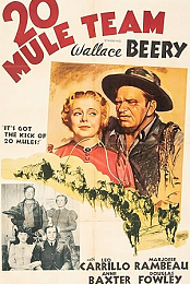 20 Mule Team