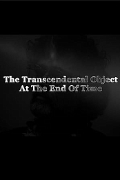 Terence McKenna The Transcendental Object 720p
