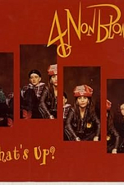 4 Non Blondes: What's Up?