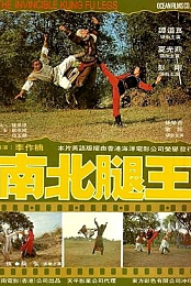 The Invincible Kung Fu Legs