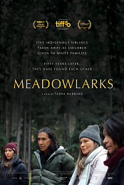 Meadowlarks