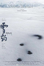 Snow Leopard
