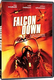 Falcon Down