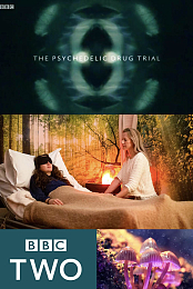 The Psychedelic Drug Trial