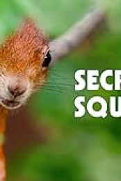 Secrets of Squirrels