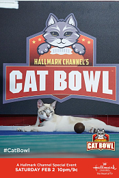 Cat Bowl II