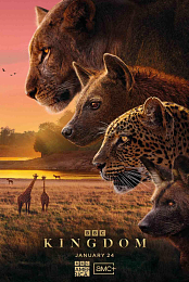 Kingdom
